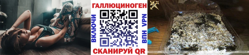 Галлюциногенные грибы Psilocybe  даркнет сайт  Большой Камень 